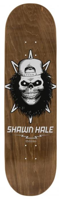 plateau-skate-birdhouse-skateboards-hale-skull-brown-8-5