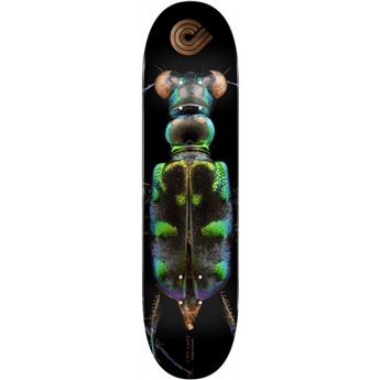 Plateau skate POWELL PERALTA Ps Biss Tiger Beetle 8.25
