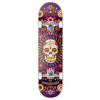 Skate HYDROPONIC Mexican Purple Skull 8.125